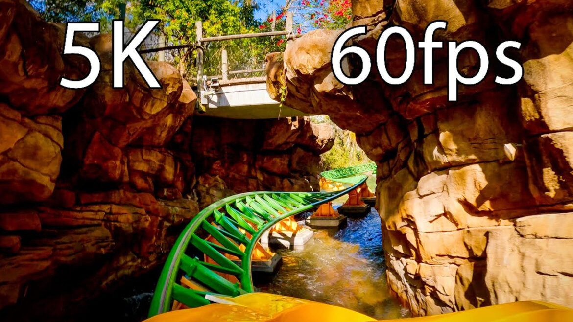 Cheetah Hunt front seat on-ride 5K POV @60fps Busch Gardens Tampa Cheetah Hunt front seat on-ride 5K POV @60fps Busch Gardens Tampa