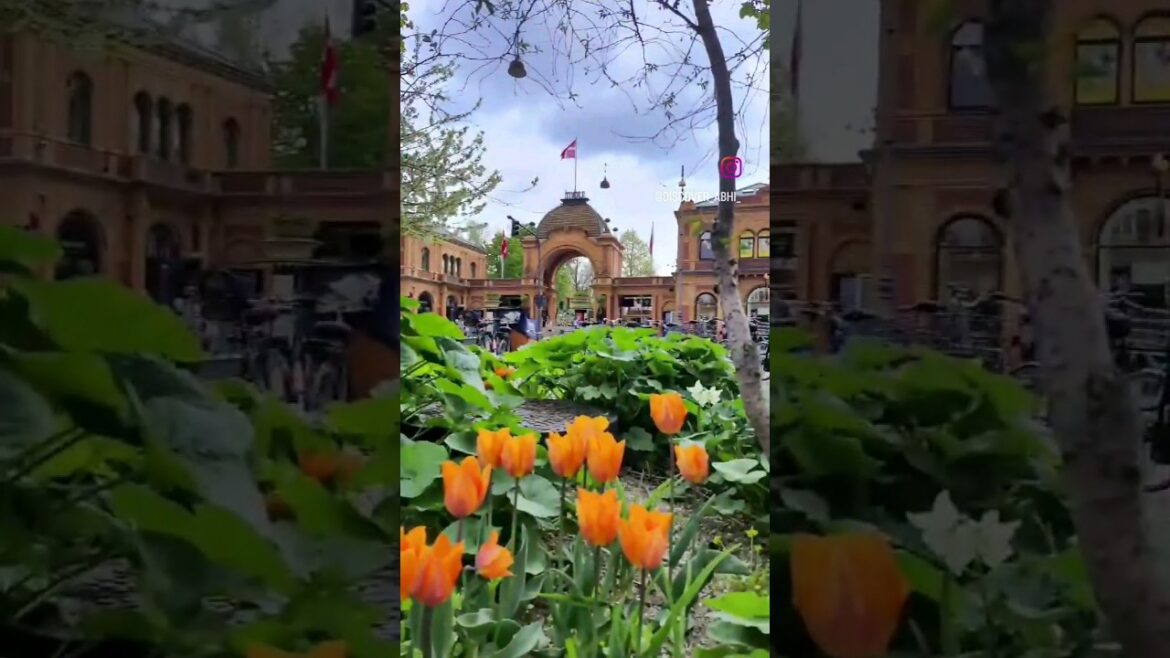 Copenhagen, Denmark 🇩🇰 #copenhagendenmark #visitcopenhagen #visitdenmark #københavn #dinamarca #tour