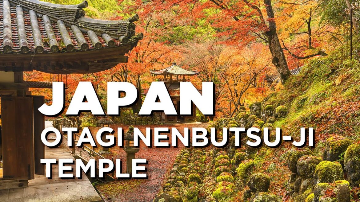 Visit the "Otagi Nenbutsu-ji temple" with its collection of 1,200 unique and exotic sculptures.