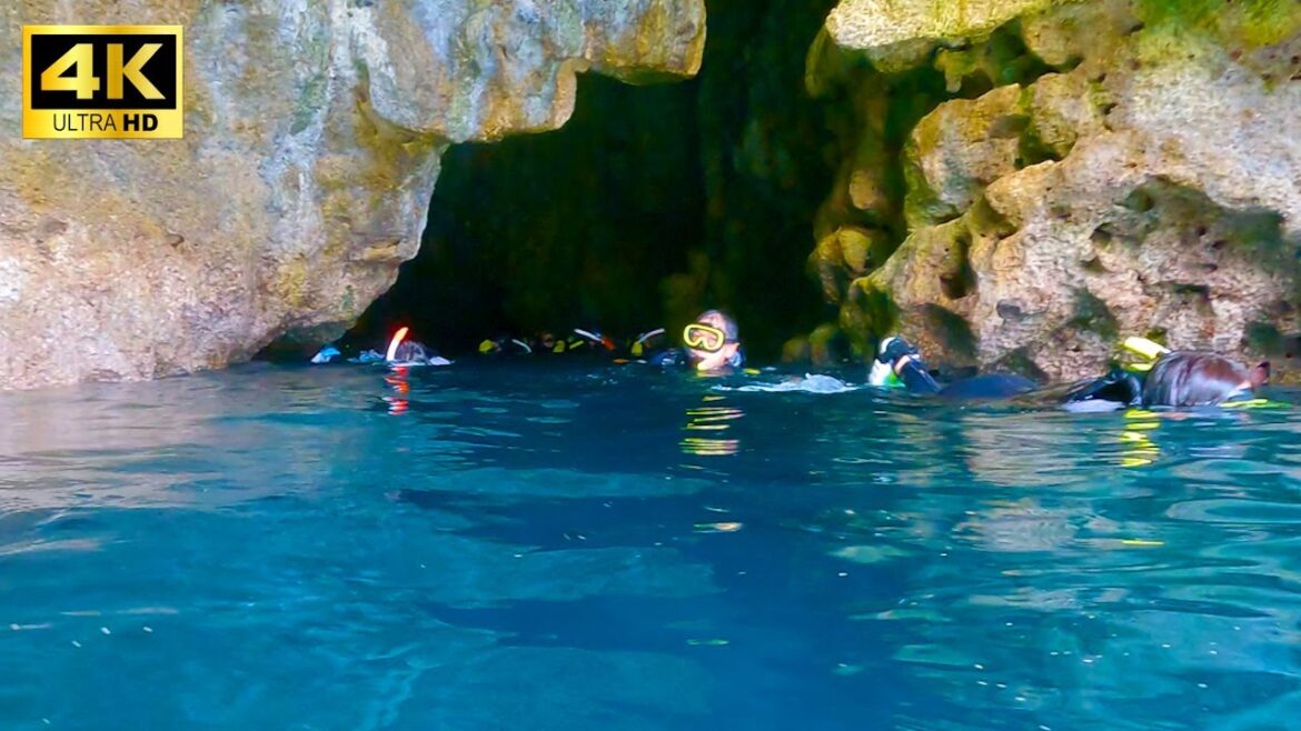 Okinawa | Japan’s most mysterious snorkeling spot “Blue Cave” | photogenic, walk trip, travel vlog Okinawa | Japan's most mysterious snorkeling spot "Blue Cave" | photogenic, walk trip, travel vlog