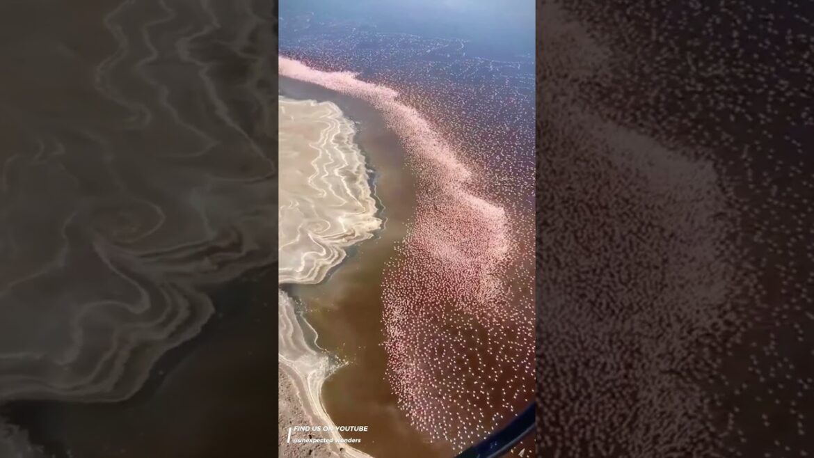 #Double click if you like it❤️#shorts #trending #traveler #explore #relaxing #travelvlog #traveling #Double click if you like it❤️#shorts #trending #traveler #explore #relaxing #travelvlog #traveling