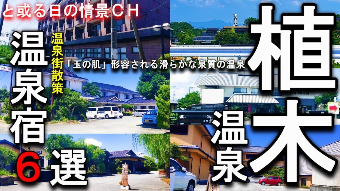 【#植木温泉】アルカリ性PH8.0前後のトロトロの湯「玉の肌」【#熊本県#熊本市 北区】