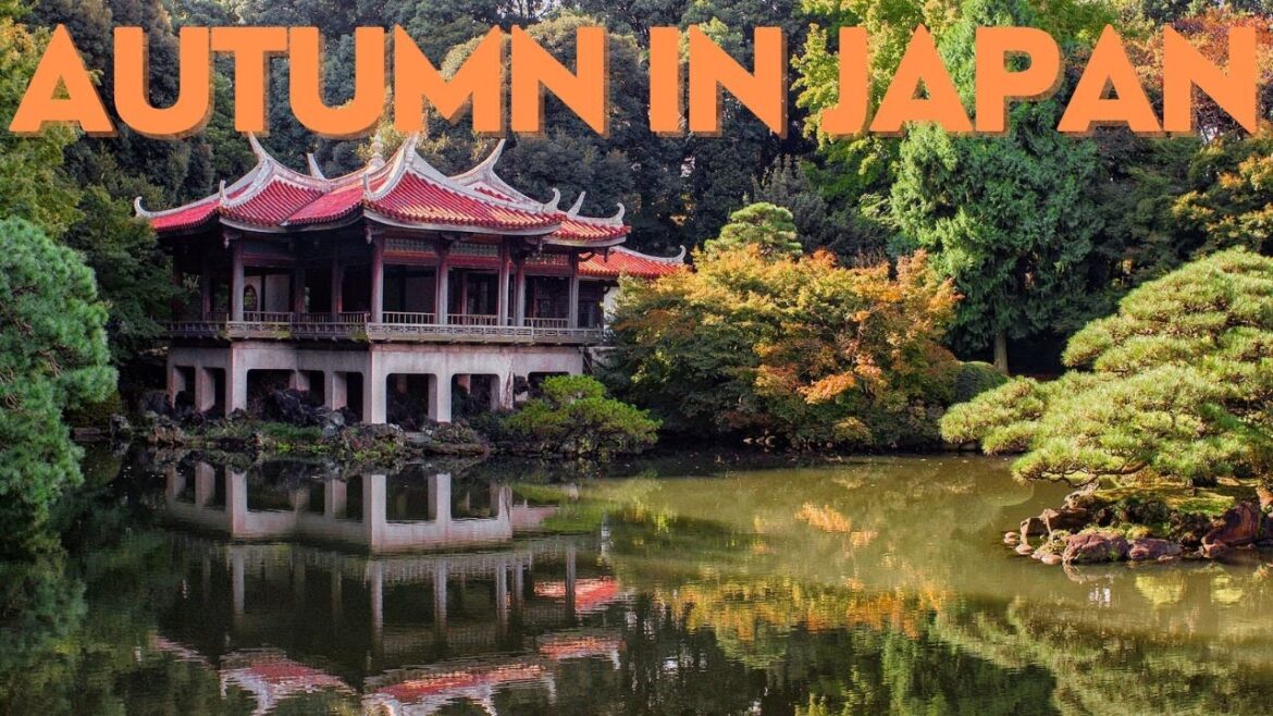 The BEST Places In Japan To See Fall Colors | Plan Your Trip NOW For The Best Experience