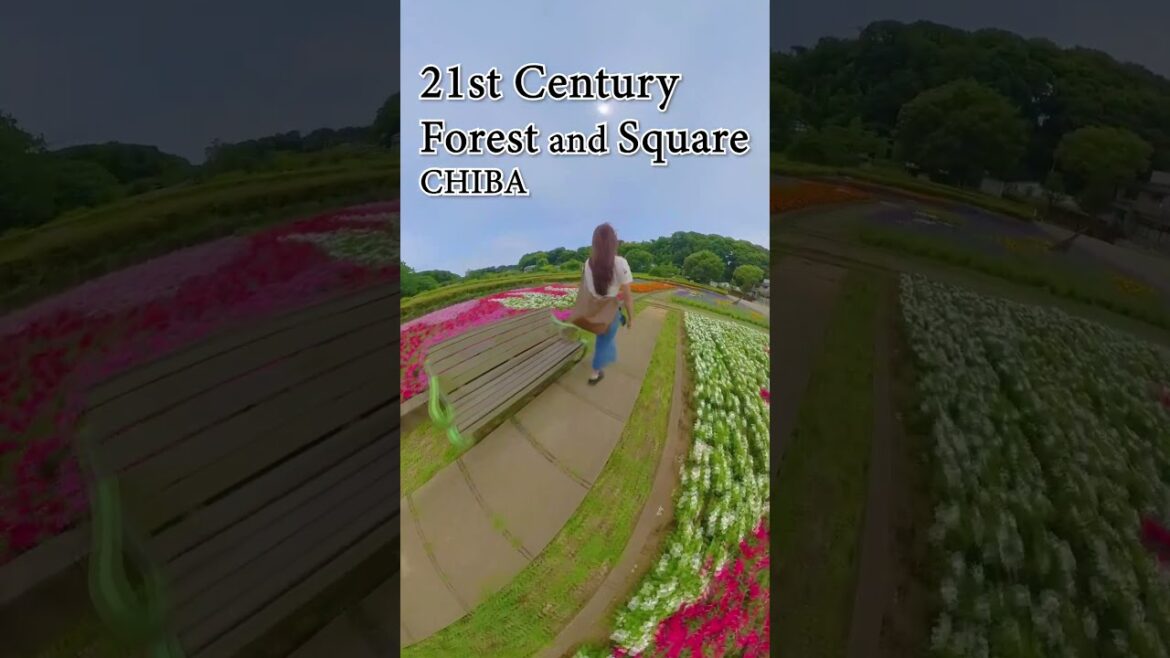 【Insta360 X3】skillism VR/360 - 21 Seki no mori & Hiroba CHIBA / Công viên rộng lớn giữa lòng Matsudo