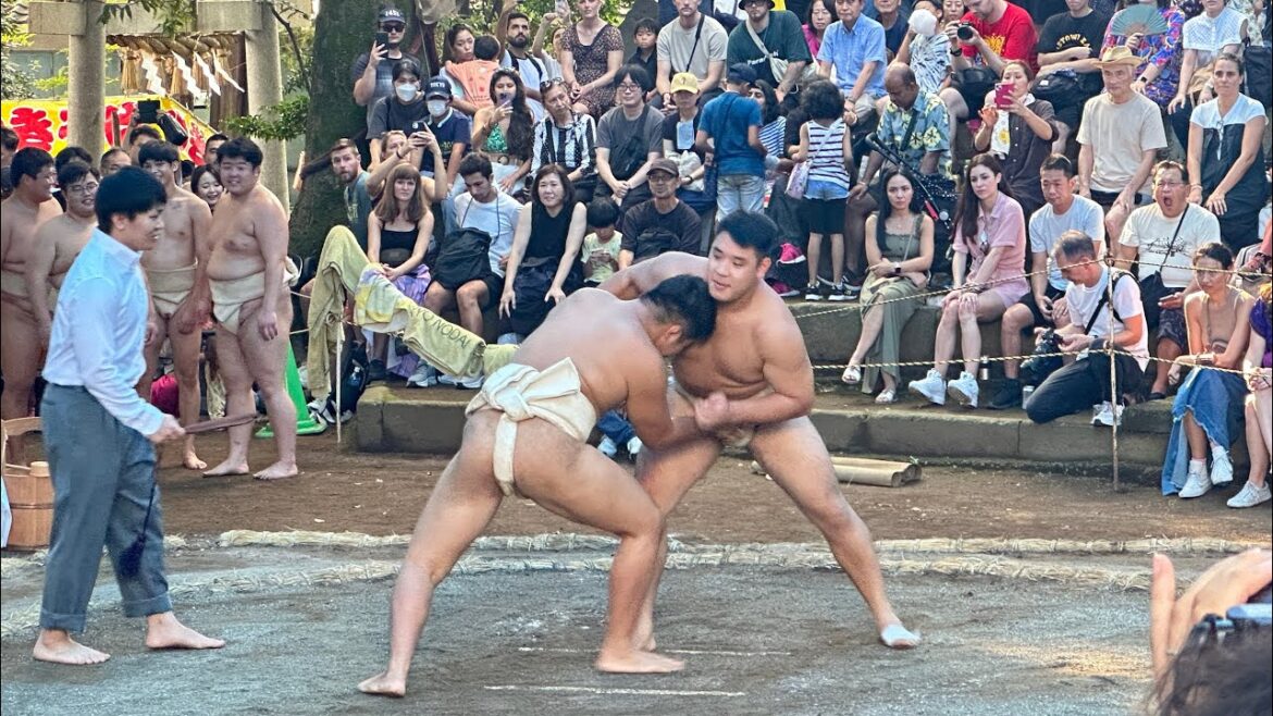 Sumo Battle Festival Tokyo Japan Live at Setagaya Hachimangu Shrine Sumo Battle Festival Tokyo Japan Live at Setagaya Hachimangu Shrine