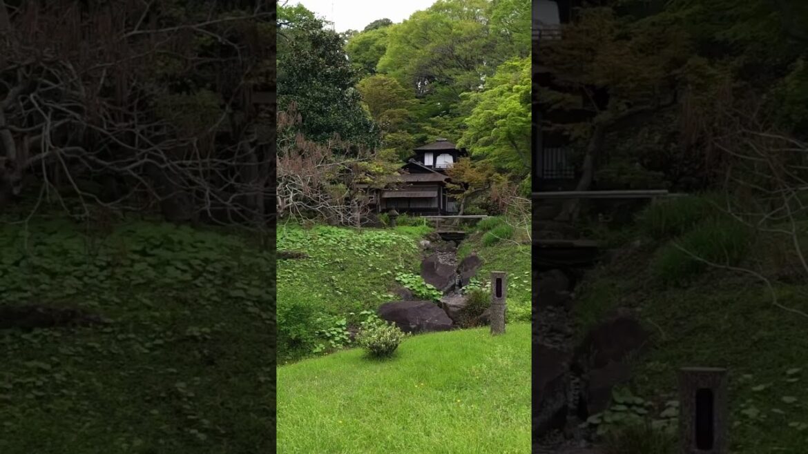 Los jardines más bonitos de Yokohama 🎌 Los jardines más bonitos de Yokohama 🎌
