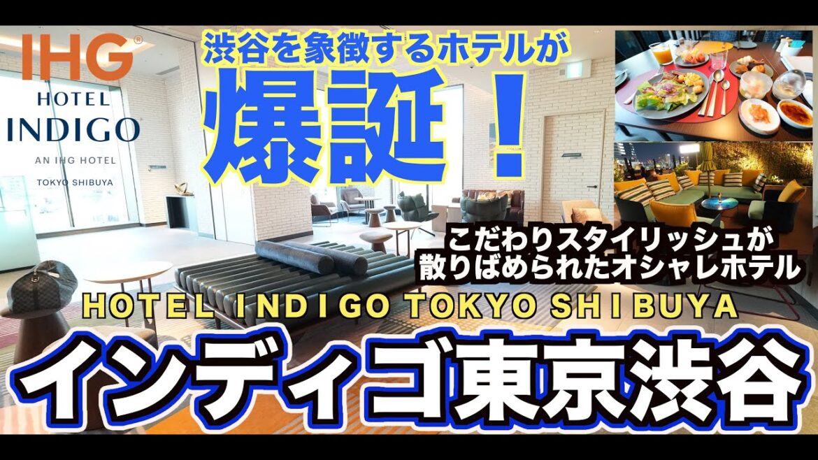 2023年8月29日開業!IHG ホテルインディゴ渋谷東京 開業日宿泊レビュー   4K 2023年8月29日開業!IHG ホテルインディゴ渋谷東京 開業日宿泊レビュー   4K