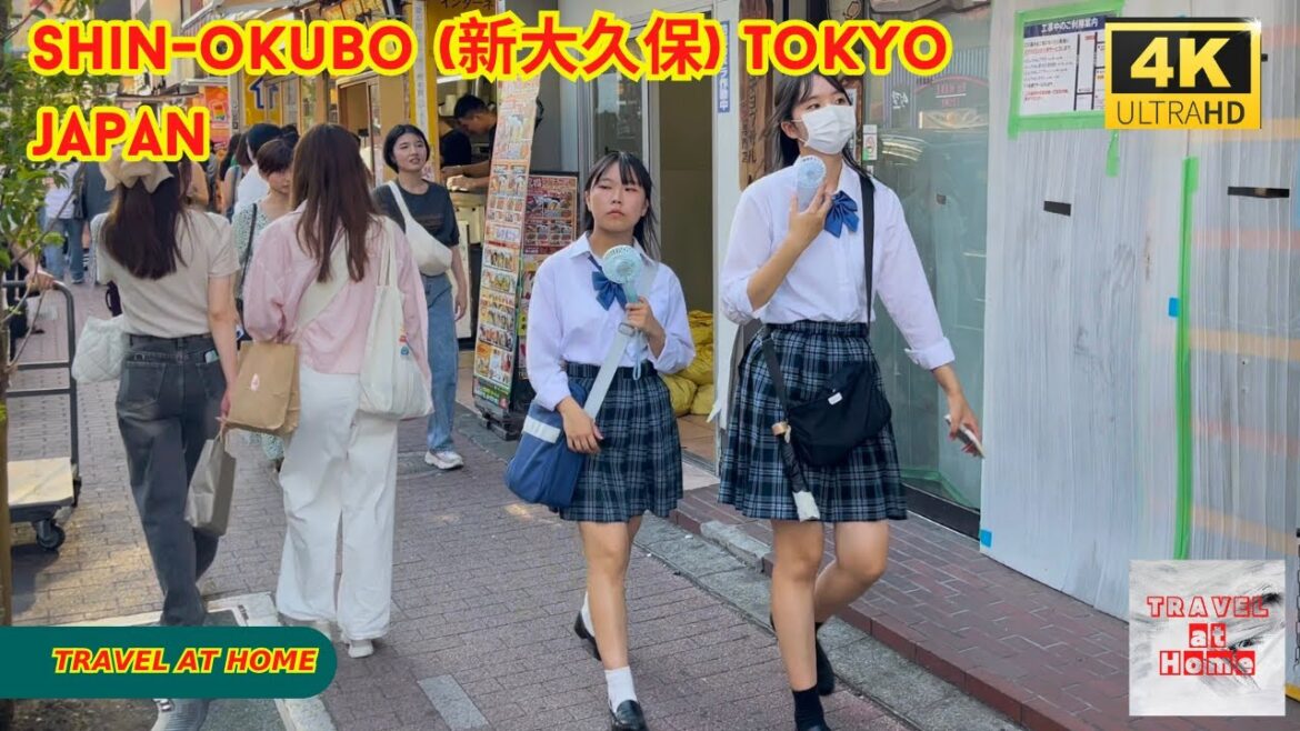 4k hdr japan travel | Walk in Shin-okubo (新大久保) Tokyo japan | Relaxing Natural City ambience 4k hdr japan travel | Walk in Shin-okubo (新大久保) Tokyo japan | Relaxing Natural City ambience