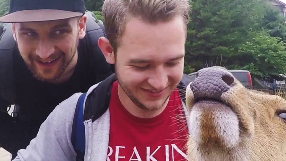 JAPAN TOUR  2016 Part One