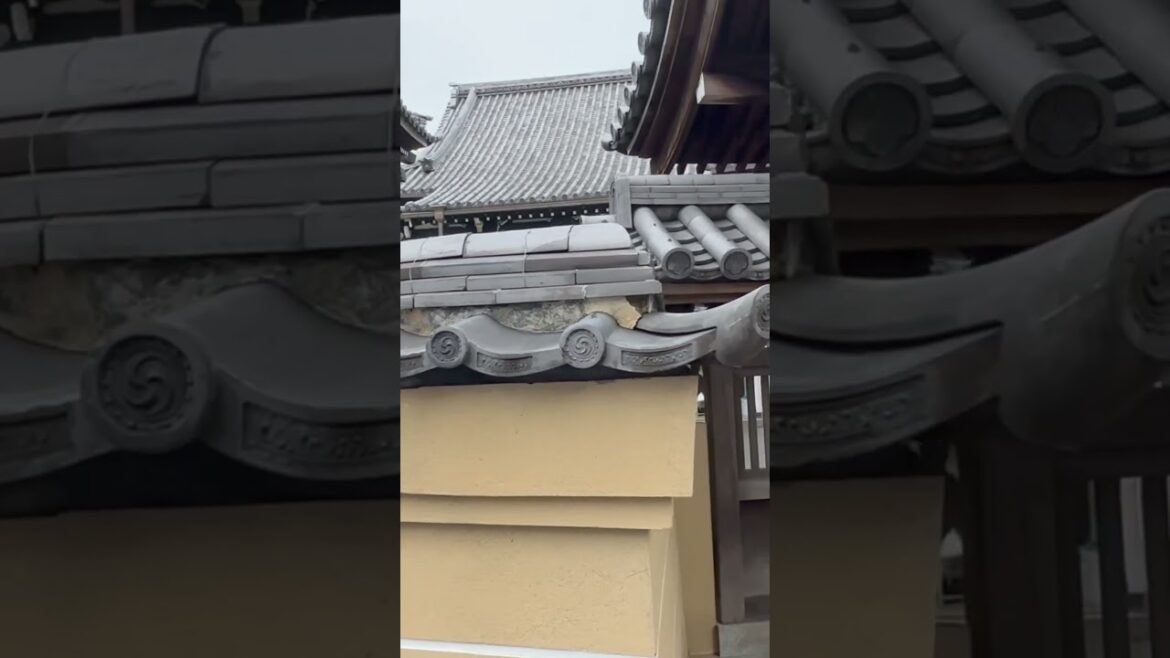 Senshuji Temple #Japan #tokyo #temple #japanesetemple #travel #japanlovers #japanlover #japantravel