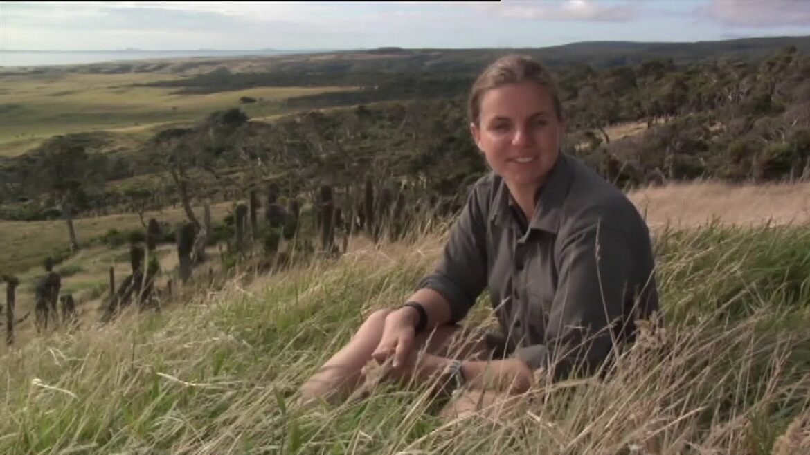 Meet the Locals: Taiko history Meet the Locals: Taiko history