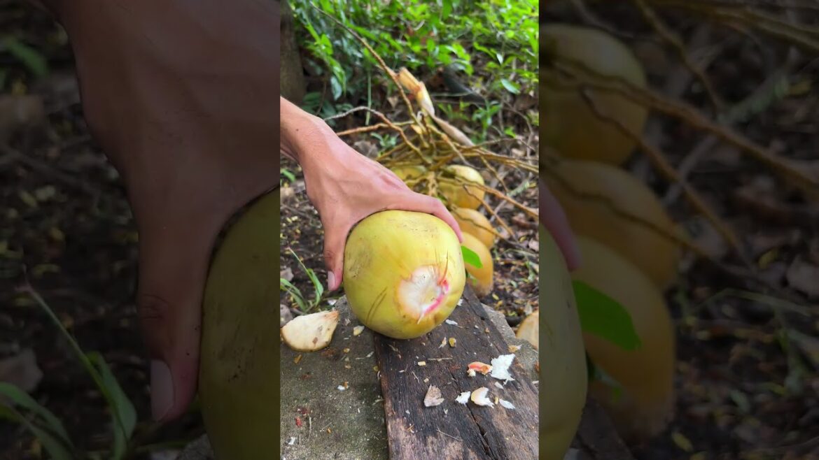 Golden coconut cuttings skill #shorts #streetfood #viral #coconut #asmr