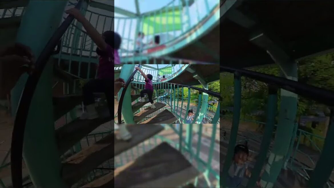 Osaka Castel and Japan Street Food #japanesefood #japantravel #streetfood #osakacastle #dotonbori