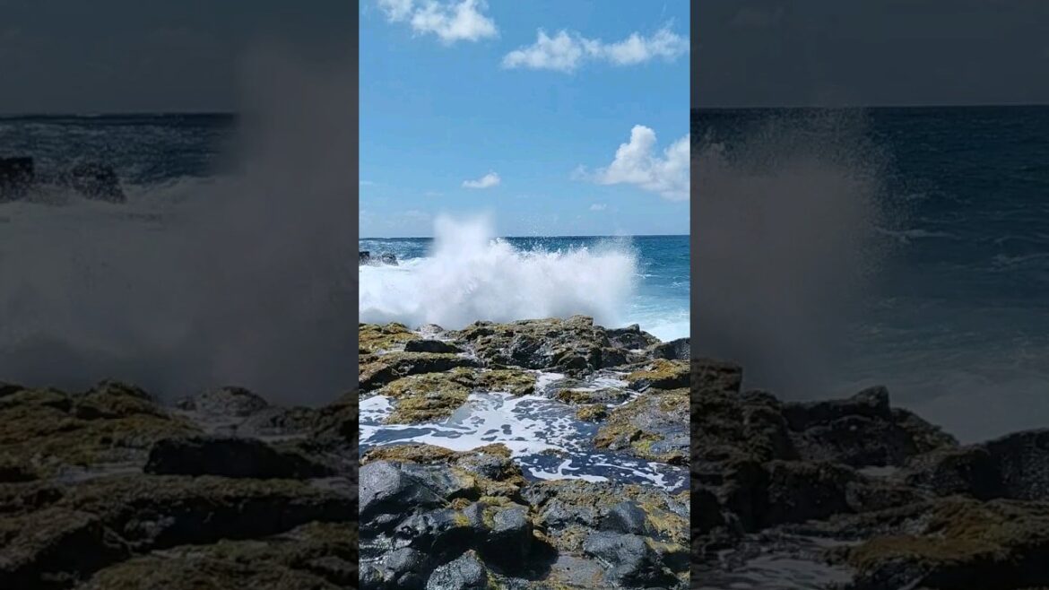 Huge crashing waves on Mauritius’s coast #shorts #utube #trendingshorts Huge crashing waves on Mauritius's coast #shorts #utube #trendingshorts