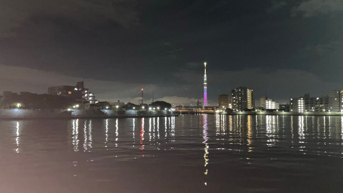 Tokyo City View From Sky tree | Sky Tree | جاپان ٹو کیو سکا ئ ٹری| Tokyo City View From Sky tree | Sky Tree | جاپان ٹو کیو سکا ئ ٹری|