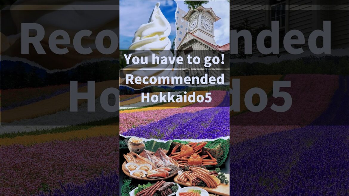 『Japanese Teaching』Japan Hokkaido Travel 5　#shorts 　#short