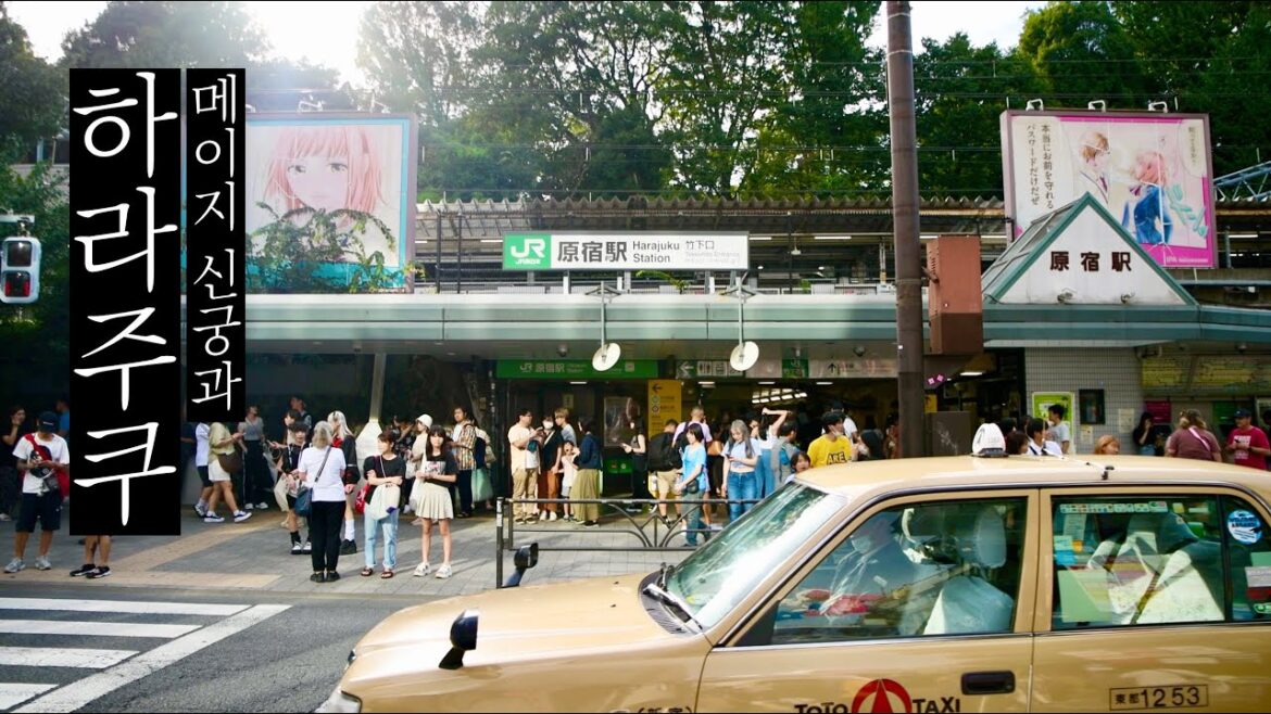 하라주쿠(原宿) / 메이지 신궁(明治神宮) 산책