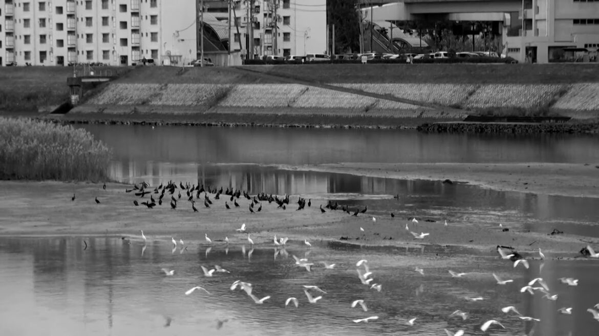 広島抽象旅行 Hiroshima Abstract Tour #006 広島抽象旅行 Hiroshima Abstract Tour #006