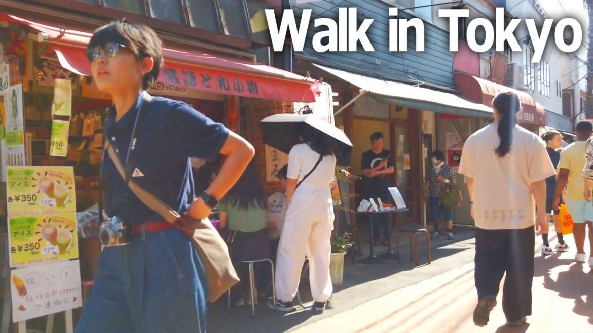 Tokyo Walking Tour – From Nippori to Ueno. A fine day in the rainy season♪ (June 2023) Tokyo Walking Tour - From Nippori to Ueno. A fine day in the rainy season♪ (June 2023)