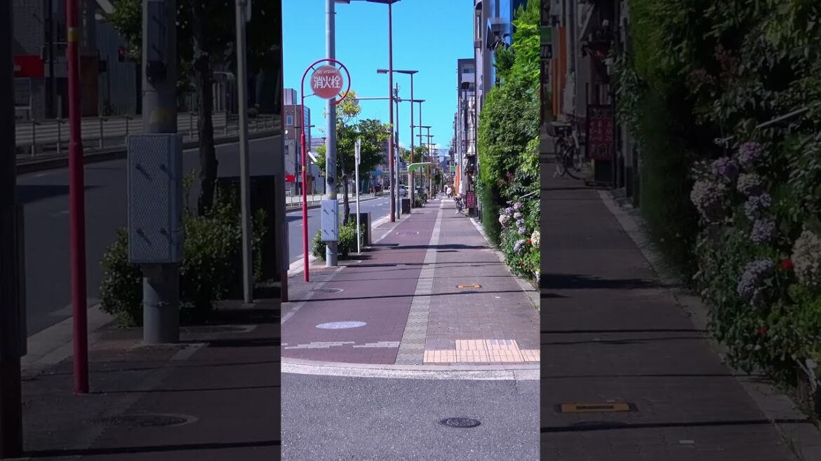 Take a walk from the Tsurumiryokuchi Koenmae bus stop - Osaka - 4 #shorts #walking #japantravel