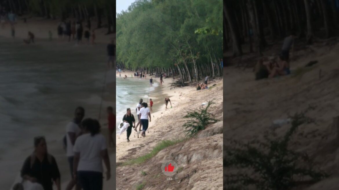 Mont Choisy Beach in Mauritius #shorts #utube Mont Choisy Beach in Mauritius #shorts #utube