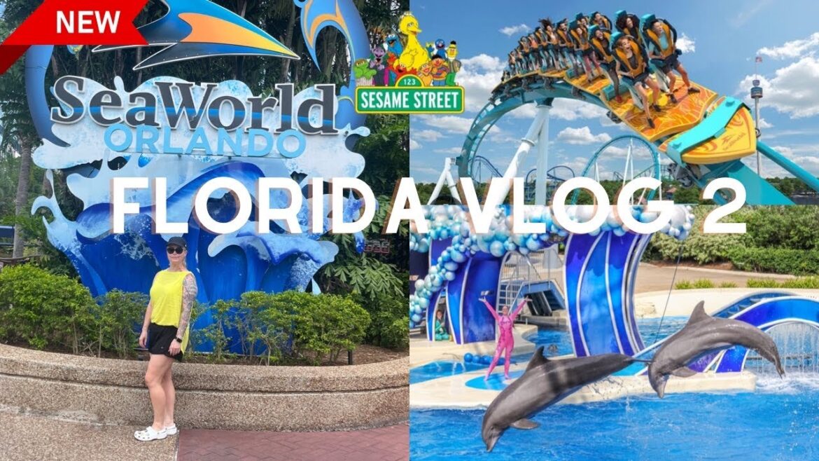 Florida Vlog 2 Seaworld Orlando  august 2023 | povs