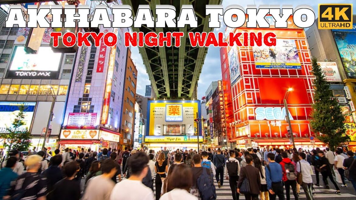 【4K】TOKYO Night Walk 2023 I 秋葉東京 Akihabara Tokyo I Akihabara in Tokyo Night Walk I Tokyo Walk