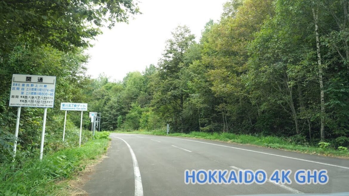 北海道道611号瑞穂東川線 → 北海道道1116号 富良野上川線 [ 旭川市 東川町 4K/60p GH6 車載動画 2023] ：道道295号交点～嶺雲橋～チョボチナイゲート（忠別ダム・忠別湖）