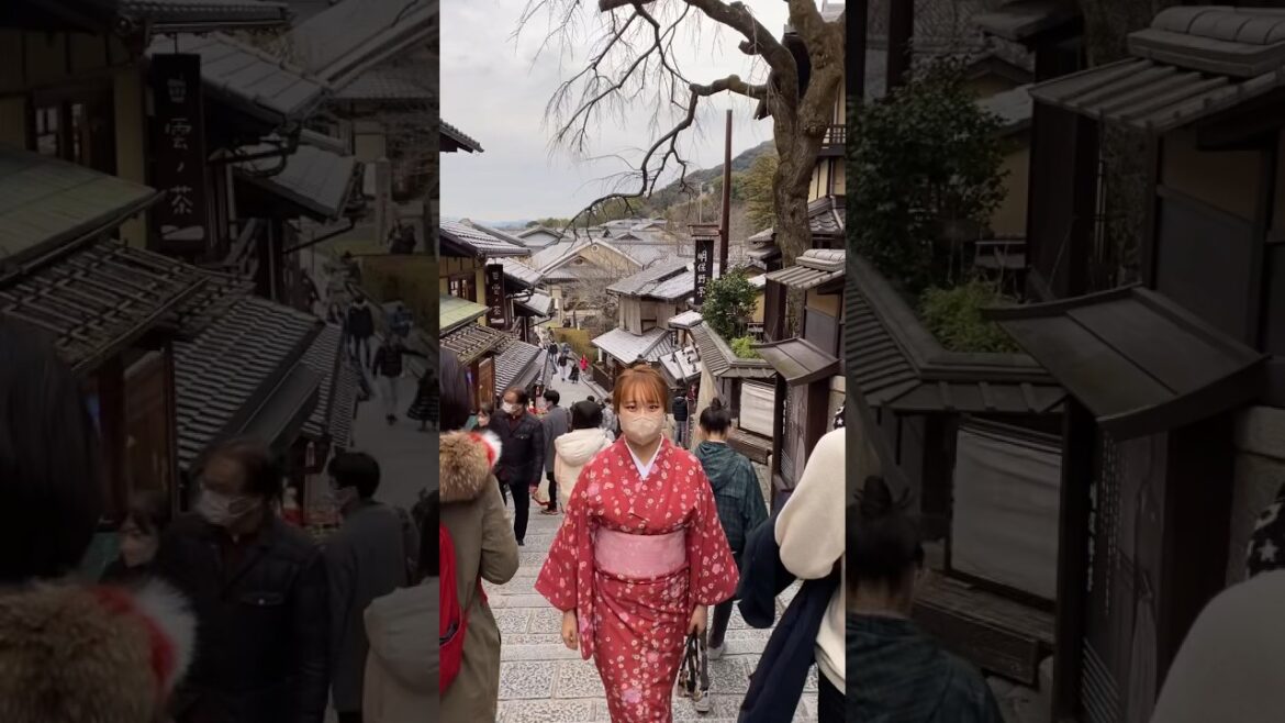 애니 속 같은 일본 감성 교토 풍경