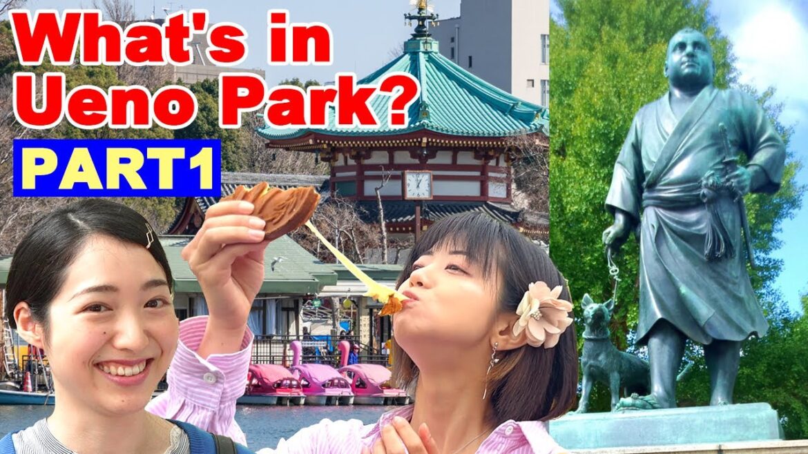 What's in Ueno Park? The Complete Guide to Ueno Park!【tokyo,ueno】　1/2