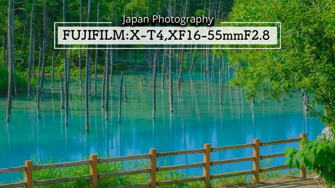 Japan Street Photography in hokkaido - Fujifilm X-T4 + XF16-55mmF2.8 R LM WR (Vol.12)