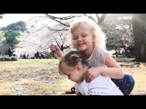 Tokyo 2018 || Cherry Blossoms, Ramen, and Strawberry Sandwiches Tokyo 2018 || Cherry Blossoms, Ramen, and Strawberry Sandwiches