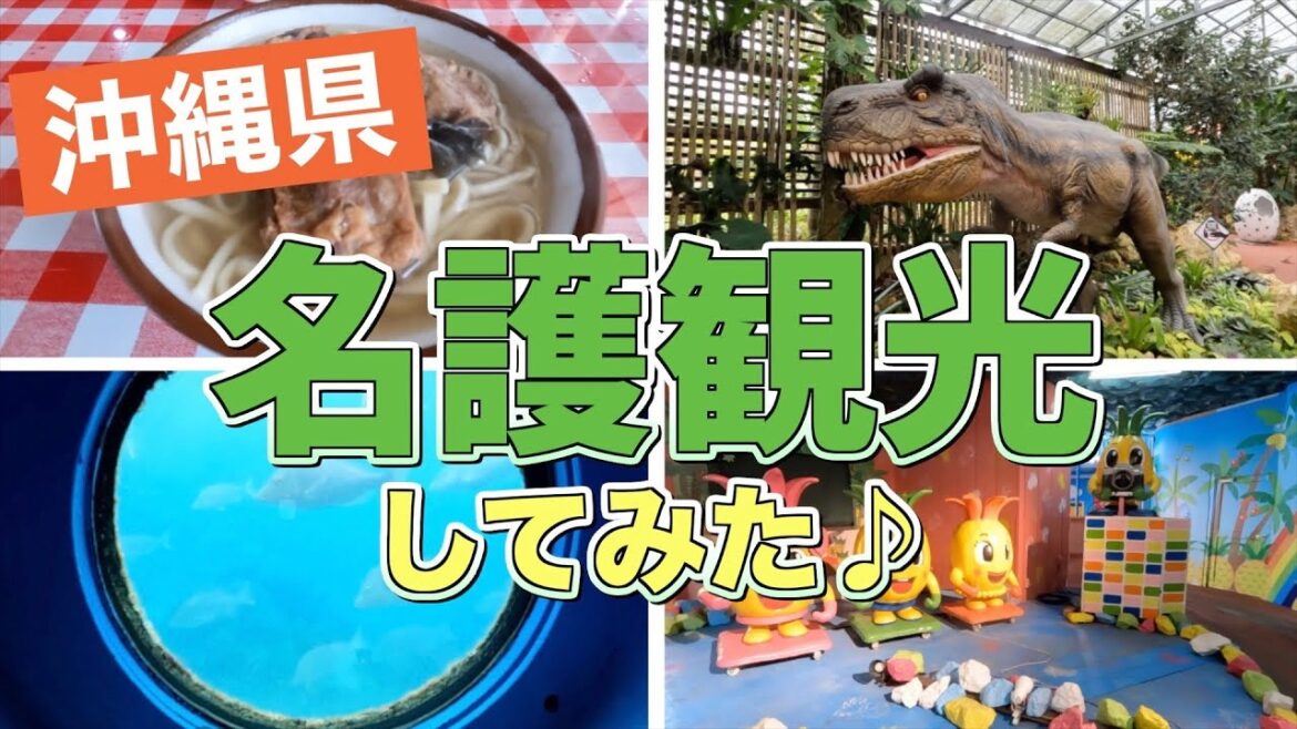 沖縄名護観光【沖縄旅行/沖縄観光/名護旅行/名護観光/名護市/宮里そば/名護パイナップルパーク/OKINAWAフルーツらんど/道の駅許田/ブセナ海中公園/okinawa/Japan/一人旅】 沖縄名護観光【沖縄旅行/沖縄観光/名護旅行/名護観光/名護市/宮里そば/名護パイナップルパーク/OKINAWAフルーツらんど/道の駅許田/ブセナ海中公園/okinawa/Japan/一人旅】