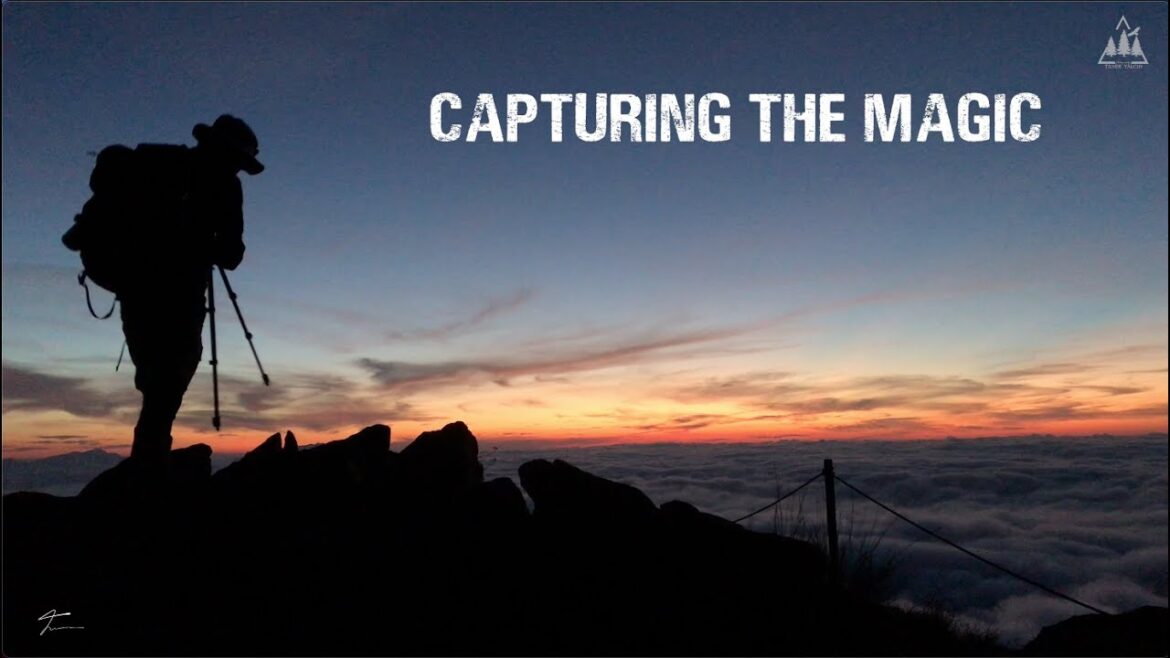 八方尾根八方池から見えた素晴らし朝焼けと雲海の風景写真P.O.V Vlog Landscape Photography On Hakuba Happo One @TanerYalcinPhoto 八方尾根八方池から見えた素晴らし朝焼けと雲海の風景写真P.O.V Vlog Landscape Photography On Hakuba Happo One @TanerYalcinPhoto