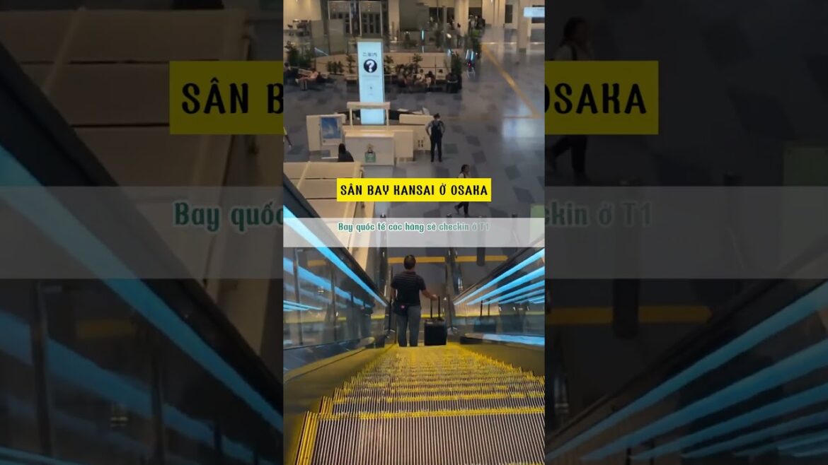 Tổng hợp tất tần tật thông tin về sảnh checkin quốc tế ở các sân bay tại Nhật Tổng hợp tất tần tật thông tin về sảnh checkin quốc tế ở các sân bay tại Nhật