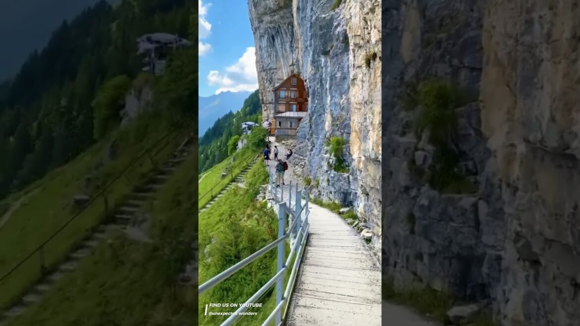 Double click if you like it. luxury travel expert. Travel vlog #shorts  #trending  #explore