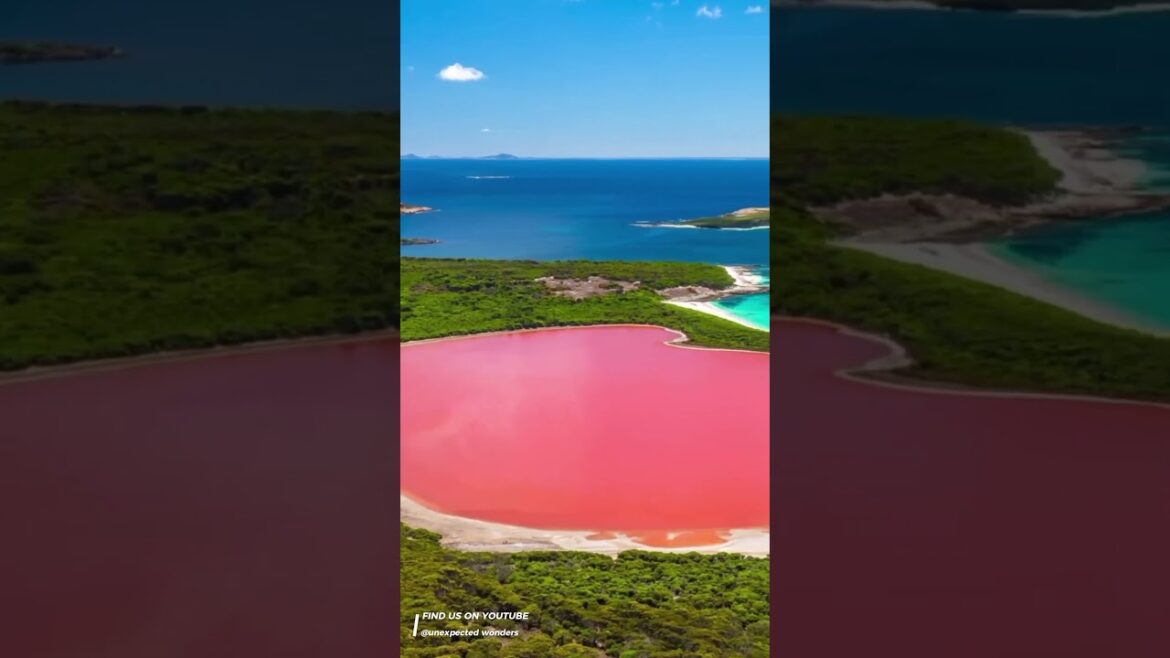 Double click if you like it❤️#shorts #trending #explore #travelvlog #traveling #relaxing #traveler Double click if you like it❤️#shorts #trending #explore #travelvlog #traveling #relaxing #traveler