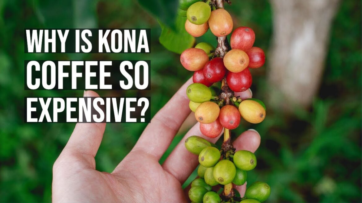 Kona Coffee Farm Tour at Mountain Thunder Coffee Planation - Why is Kona Coffee So Expensive?
