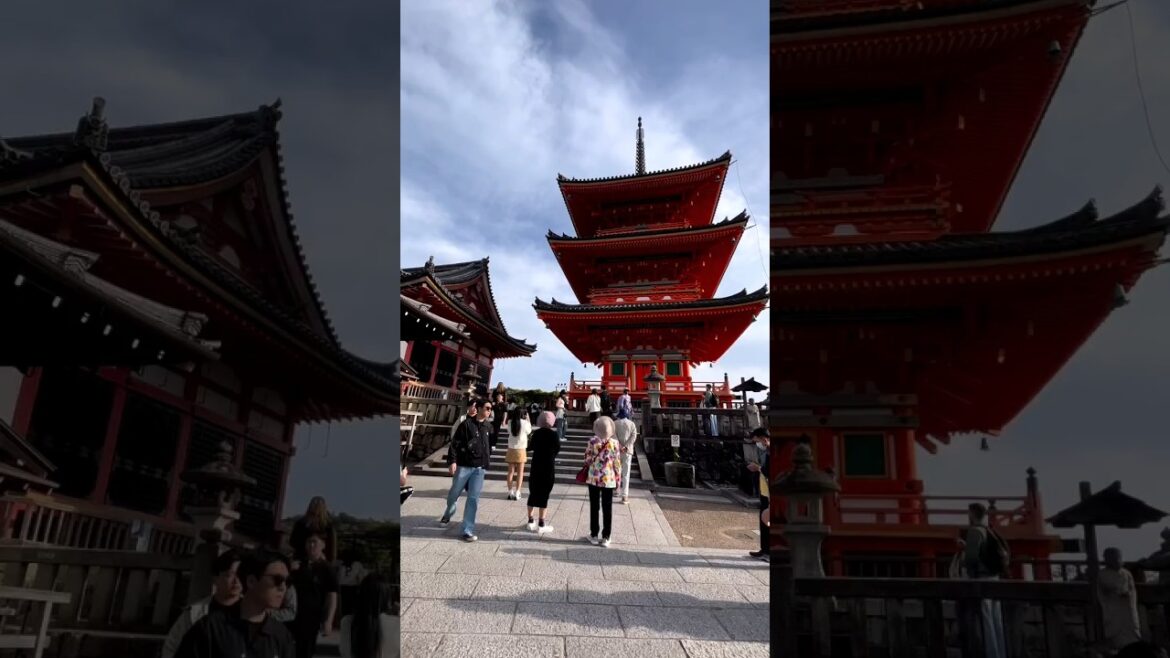 Kiyomizu temple&Fushimi Inari Taisha #shorts #shortsfeed #kyoto #japantrip