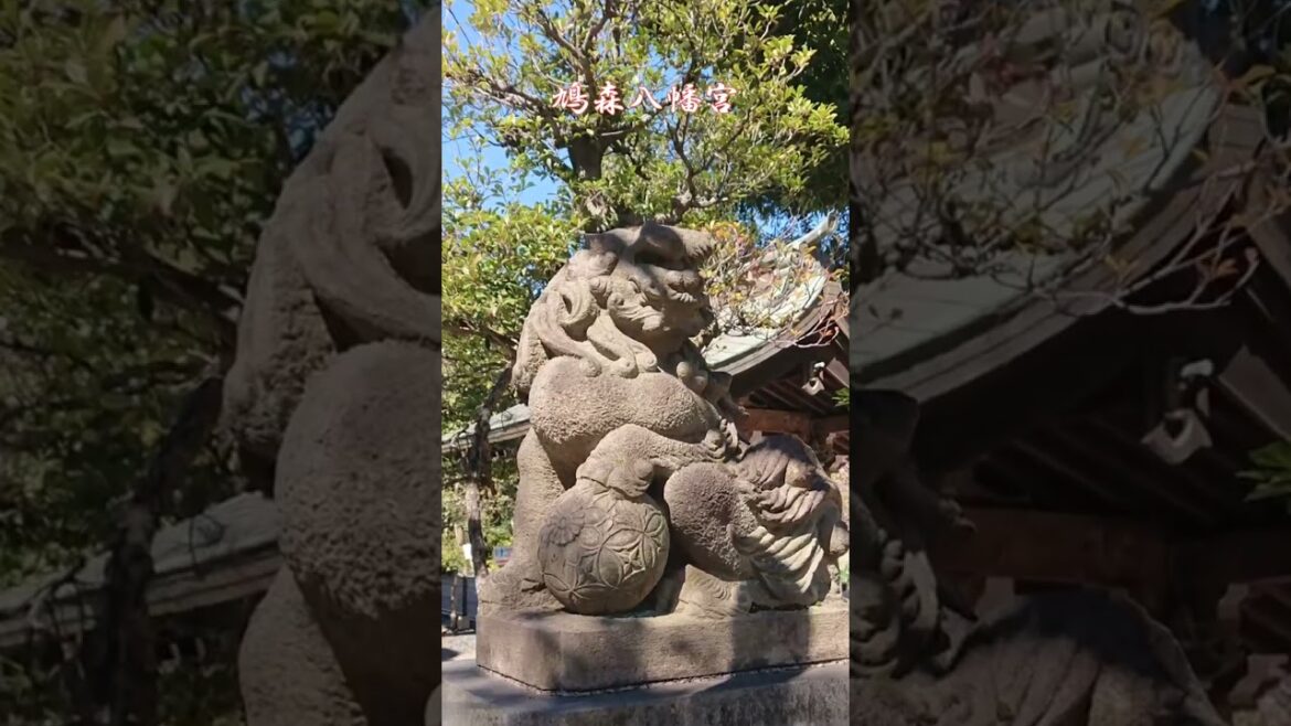 A day trip from Tokyo " Hatomorihachiman Shrine" Japan #shorts