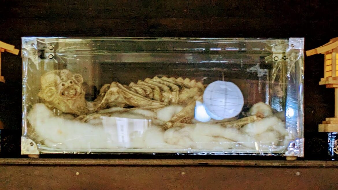 【佐賀ひとり旅】佐賀の伝説!カッパのミイラに挑む&呼子朝市と秘窯の里を巡るひとり旅 | ジムニーで行く!車旅 九州 Japan Travel 【佐賀ひとり旅】佐賀の伝説!カッパのミイラに挑む&呼子朝市と秘窯の里を巡るひとり旅 | ジムニーで行く!車旅 九州 Japan Travel