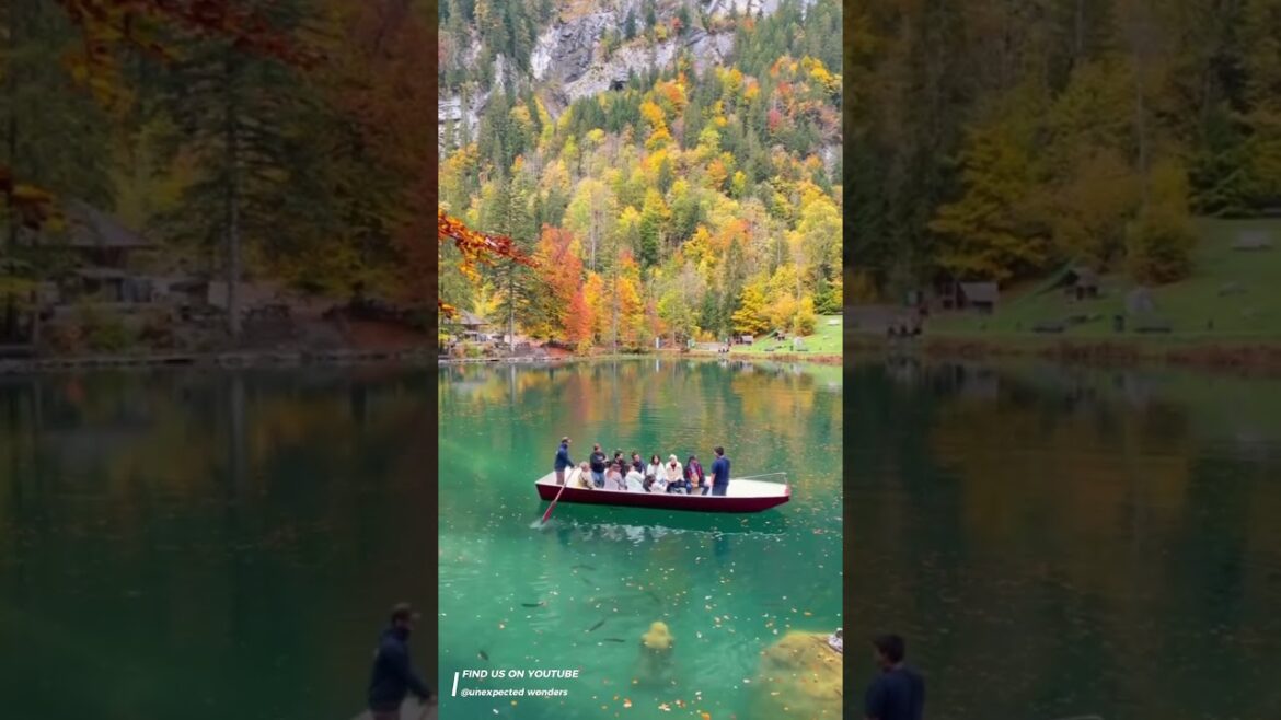 Double click if you like it❤️#shorts #trending #travelvlog #traveling #traveler #relaxing  #explore