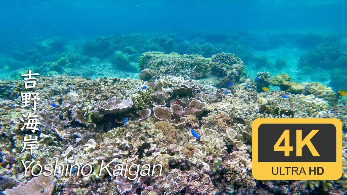 Yoshino Kaigan - Okinawa - Miyako-jima - 吉野海岸