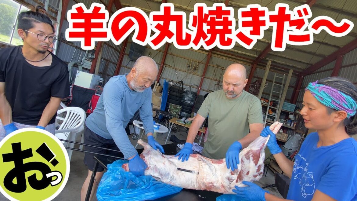 ひつじの丸焼きをいただく!!これぞ北海道の牧場でやる豪快パーティ!北海道ツアー2023その12 ひつじの丸焼きをいただく!!これぞ北海道の牧場でやる豪快パーティ!北海道ツアー2023その12