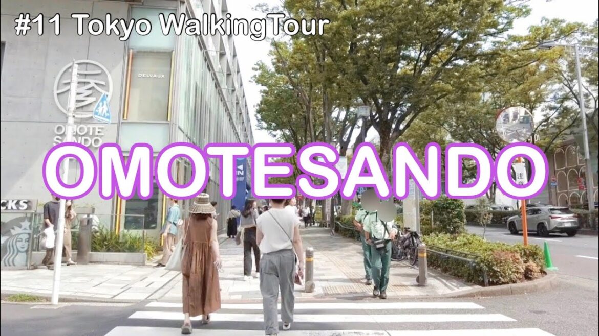 【# 11 Tokyo Walking Tour】Walk to Japanese Dessert in Omotesando Tokyo. Low calorie, light and tasty.