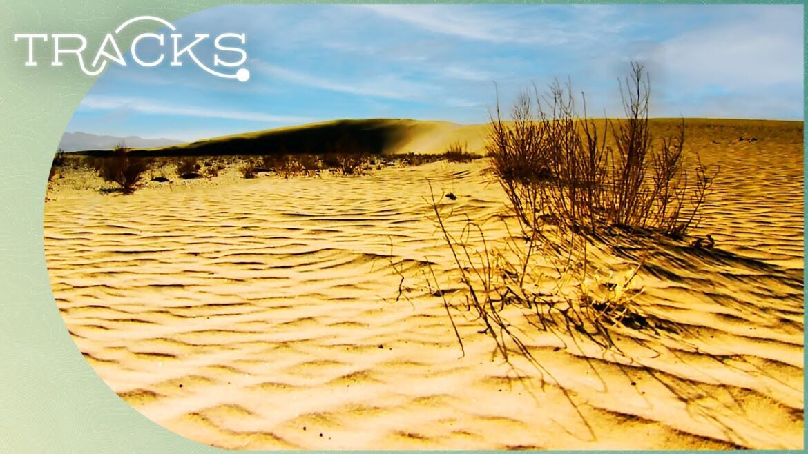 Unexplored Mysteries Of The Gobi Desert | Desert And Life