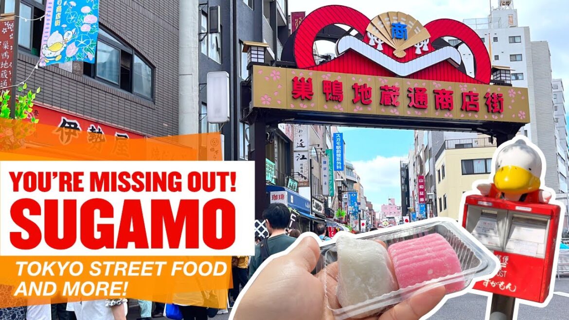 Summer in Tokyo ☀️ Sugamo Granny's Harajuku, Jizo-Dori, Street food, Koganji Temple