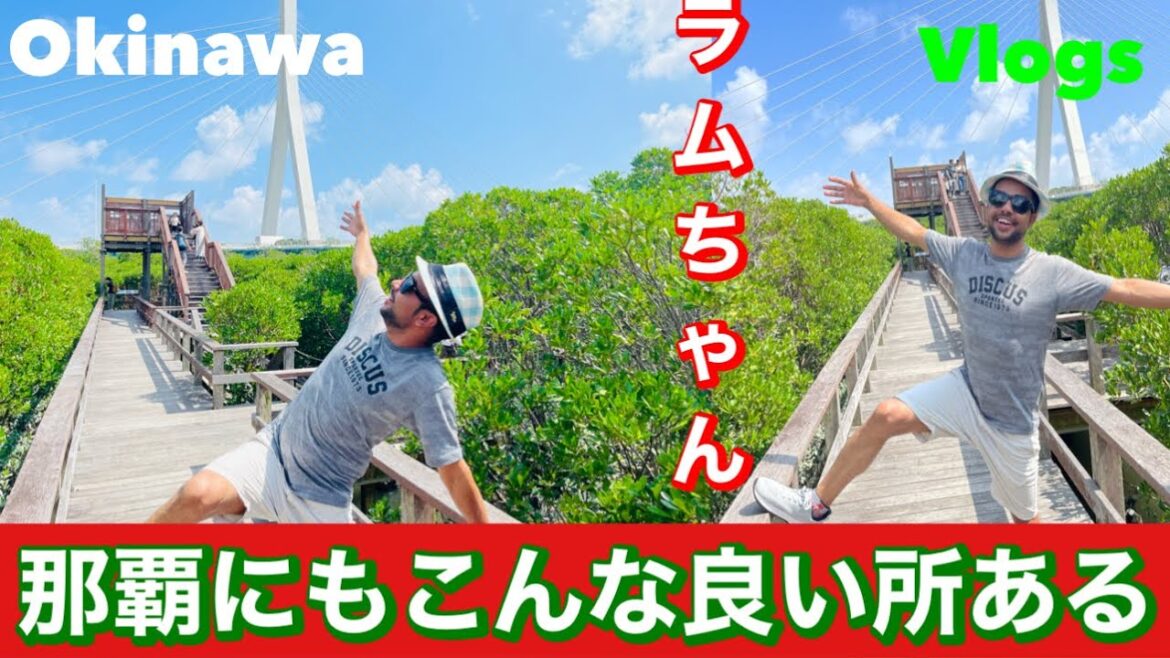 Manko Waterbird and Wetland Center Okinawa naha 🇯🇵okinawa tour ramu chyanネパール芸人ラムちゃんの沖縄観光🇳🇵 Manko Waterbird and Wetland Center Okinawa naha 🇯🇵okinawa tour ramu chyanネパール芸人ラムちゃんの沖縄観光🇳🇵