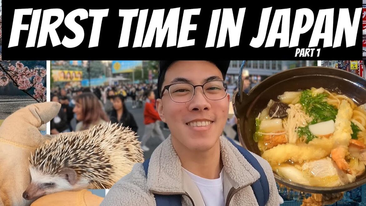 FIRST TRIP TO JAPAN  π―π΅ | Tokyo, Otter Cafe, Shibuya, Eats, Anime | Jshoea Vlogs FIRST TRIP TO JAPAN  π―π΅ | Tokyo, Otter Cafe, Shibuya, Eats, Anime | Jshoea Vlogs
