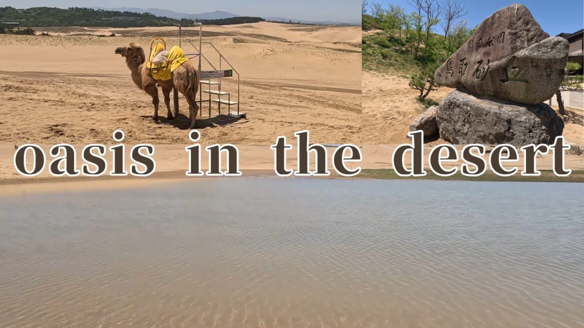 【Japan】【Tottori】Tottori Sand Dunes